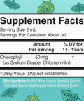 Maryruth Organics Chlorophyll Liquid Drops Clean Label Project Vegan Non-Diluted Liquid Chlorophyll| Mulberry Derived Supplement for Ages 14+ Non-GMO Delicious Minty Flavor 2 Fl Oz