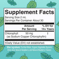 Maryruth Organics Chlorophyll Liquid Drops Clean Label Project Vegan Non-Diluted Liquid Chlorophyll| Mulberry Derived Supplement for Ages 14+ Non-GMO Delicious Minty Flavor 2 Fl Oz