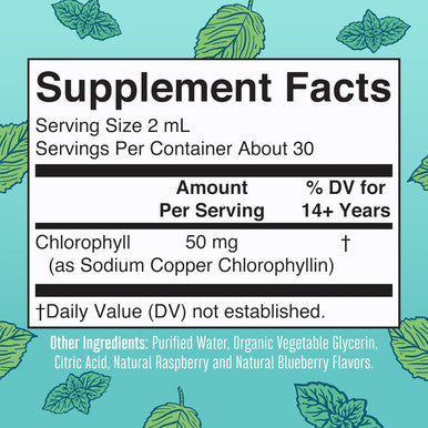 Maryruth Organics Chlorophyll Liquid Drops Clean Label Project Vegan Non-Diluted Liquid Chlorophyll| Mulberry Derived Supplement for Ages 14+ Non-GMO Delicious Minty Flavor 2 Fl Oz