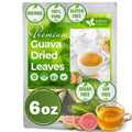 FreshDrinkUS, Premium 120 Mulberry Leaf Tea Bags, 100% Natural & Pure from Mulberry Leaves. Loose Leaf Herbal Tea. Made with Natural Material Tea Bags. No Sugar, No Caffeine, No Gluten, Vegan.