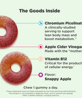 OLLY Metabolism Gummy Rings Apple Cider Vinegar Vitamin B12 Chromium Energy and Digestive Health Chewable Supplement Apple Flavor 30 Count