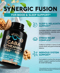 NUTRAHARMONY Gaba With L-Theanine Capsules & Vitamin B Complex Drops