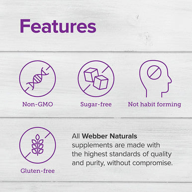 Webber Naturals Apple Cider Vinegar Pills 1500 mg per Serving High Potency 240 Capsules Natural Digestion Metabolism Weight Detox Support NonGMO Gluten Dairy Sugar