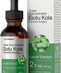 Gotu Kola Extract | 2 fl oz | Alcohol Free | Super Concentrated Liquid Herb Supplement | Vegetarian, Non-GMO, Gluten Free | by Horbaach