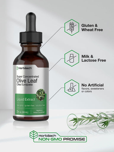 Horbaach Olive Leaf Extract Liquid 2 Fl Oz
