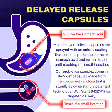 Akkermansia Probiotic For Gut Health Support With Berberine And Soluble Beta-Glucan Prebiotic Fiber Glp-1 Probiotic, 3 Billion Afu, 60 Delayed Release Capsules