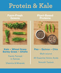 Amazing Grass Vegan Protein & Kale Powder: 20g of Organic Protein + 1 Cup Leafy Greens per Serving, Vanilla, 15 Servings