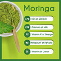 Moringa Leaf Powder Drum Stick Shigru 16Oz 1 Pound Multi Vitamin Superfood Supplement Rich Iron Calcium Anti Oxidant Joint Pain Immune Booster