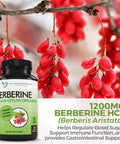 Berberine with Ceylon Cinnamon 1200mg Berberine 100mg Organic Ceylon Cinnamon 120 Veggie Capsules Healthy Immune System Cardiovascular Heart Gastrointestinal Wellness