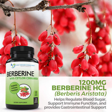 Berberine with Ceylon Cinnamon 1200mg Berberine 100mg Organic Ceylon Cinnamon 120 Veggie Capsules Healthy Immune System Cardiovascular Heart Gastrointestinal Wellness