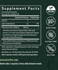 Gaia Herbs Mental Alertness - Brain Support Supplement to Help Maintain Focus & Memory* - with Eleuthero, Ginkgo Leaf, Gotu Kola, Rosemary & Oats - 60 Vegan Liquid Phyto-Capsules (15-Day Supply)