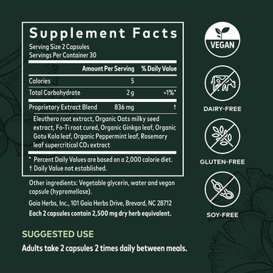 Gaia Herbs Mental Alertness - Brain Support Supplement to Help Maintain Focus & Memory* - with Eleuthero, Ginkgo Leaf, Gotu Kola, Rosemary & Oats - 60 Vegan Liquid Phyto-Capsules (15-Day Supply)