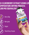NaturaLife Labs Sambucus Elderberry 5,000 mg Super Concentrated 65:1 with Vitamin C & Zinc 90 Veggie Capsules