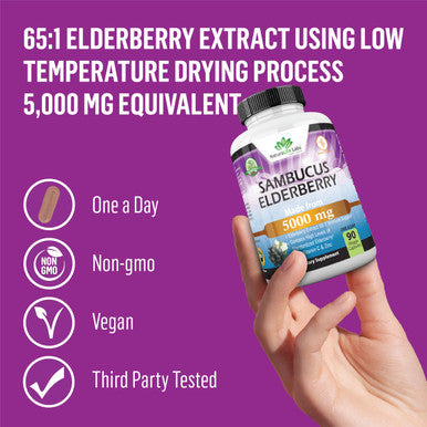 NaturaLife Labs Sambucus Elderberry 5,000 mg Super Concentrated 65:1 with Vitamin C & Zinc 90 Veggie Capsules