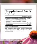 Natural Factors Echinamide Echinacea Supplement for Immune and Wellness Support 60 Softgels