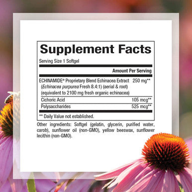 Natural Factors Echinamide Echinacea Supplement for Immune and Wellness Support 60 Softgels