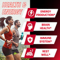 DEDICAD Nad+ Supplement 500Mg - Pure Nad Supplement - Combined To Fisetin, Tmg, Resveratrol And Quercetin - Energy And Dna Repair, Aging Defense, Brain Function - 60 Capsules
