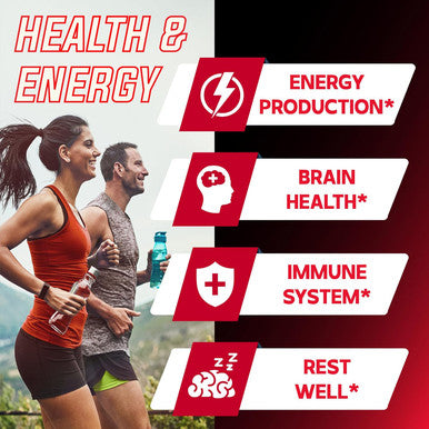 DEDICAD Nad+ Supplement 500Mg - Pure Nad Supplement - Combined To Fisetin, Tmg, Resveratrol And Quercetin - Energy And Dna Repair, Aging Defense, Brain Function - 60 Capsules
