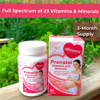 Prenatal Vitamins with 1000mcg Folate Folic Acid, Prepares You for Conception and Childbearing, 23 Vitamins and Minerals, Includes Iron, Calcium, Vitamin D, Biotin - 90 Days Supply - Allmom's Choice
