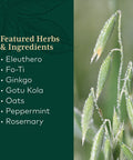 Gaia PRO Cognitive Formula - Brain Boost & Flow Supplement - Provides Antioxidant Activity Support - with Rosemary, Organic mint & Gotu Kola - 60 Vegan Liquid Phyto-Capsules (30 Servings)