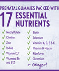 New Chapter Prenatal Multivitamin Gummies 71% Less Sugar, Prenatal Gummies for Mom & Healthy Baby with Prenatal Vitamins Methylfolate, D3, Choline & Ginger, Non-GMO, Gluten Free, Berry Citrus, 90ct