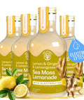 Mango Pink Pepper Sea Moss Electrolyte Lemonade Ã¢â‚¬â€œ Exotic Spiced Hydration Drink Ã¢â‚¬â€œ No Added Sugar with Sea Moss & Electrolytes Ã¢â‚¬â€œ 4 x 12 fl oz Bottles Ã¢â‚¬â€œ Made in USA