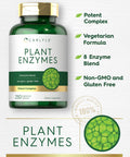 Carlyle Plant Enzymes With Protease, Papain, Lactase And Bromelain | 250 Capsules | Multi Enzyme Blend | Non-Gmo & Gluten Free