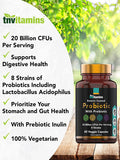Probiotics for Women & Men with Prebiotics for Digestive Health with Acidophilus | 60 Enteric Coated Vegetarian Capsules | 20 Billion CFUs - 8 Strains | by TNVitamins