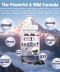 Alliwise Shilajit Gummies For Men & Women 600Mg Shilajit Pure Himalayan Original Multi-Supplement Shilajit Ashwagandha & High In Trace Minerals & Fulvic Acid For Energy Strength & Immunity