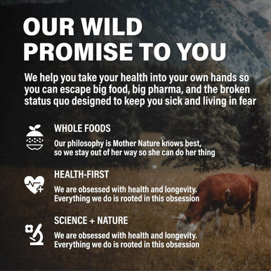Wild Foods Beef Liver Capsules - Grass-Fed & Pasture-Raised 3000Mg Ancestral Supplement For Natural Energy & Immune Support Organ Supplement For Men & Women Keto, Paleo, Carnivore (120 Softgels)
