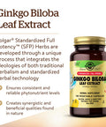 Solgar Ginkgo Biloba Leaf Extract 180 Vegetable Capsules - Brain Health & Mental Alertness - Standardized Full Potency (Sfp) - Non-Gmo Vegan Gluten Free Dairy Free Kosher Halal - 180 Servings