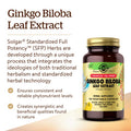 Solgar Ginkgo Biloba Leaf Extract 180 Vegetable Capsules - Brain Health & Mental Alertness - Standardized Full Potency (Sfp) - Non-Gmo Vegan Gluten Free Dairy Free Kosher Halal - 180 Servings