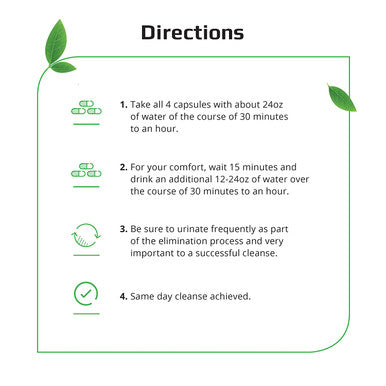 Herbal Clean Qcaps Detox Cleanse SameDay Discreet Detox Capsules 4 Count