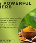 Go Nutrients Turmeric Ease - Liquid Turmeric Curcumin With Black Pepper - Organic Turmeric Supplement For Healthy Inflammation