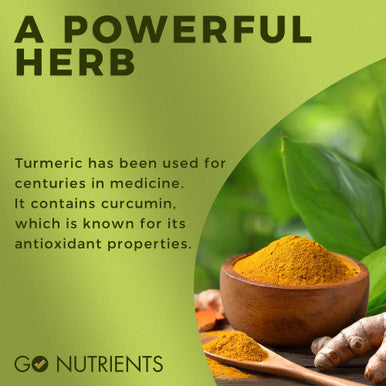 Go Nutrients Turmeric Ease - Liquid Turmeric Curcumin With Black Pepper - Organic Turmeric Supplement For Healthy Inflammation