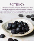 Gaia Herbs Black Elderberry (Sambucus Nigra) Extra Strength Gummies - Delicious Immune Support Supplement - Made with Certified Organic Black Elderberries for Immune System Support - 80 Gummies