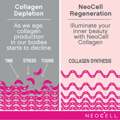 Neocell Collagen Powder With Biotin Vitamin C & Hyaluronic Acid Collagen Type 1 & 3 Beauty Infusion Promotes Beautiful Skin Healthy Hair & Nail Gluten Free Tangerine 11.64 Oz