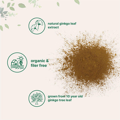 Micro Ingredients Raw Organic Ginkgo Biloba Powder 8 Ounce (18 Months Supply) Filler Supports Brain Function and Mental Alertness No GMOs and Vegan Friendly