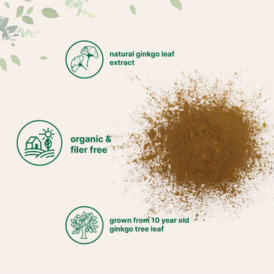 Micro Ingredients Raw Organic Ginkgo Biloba Powder, 8 Ounce (18 Months Supply), Filler Free, Supports Brain Function and Mental Alertness, No GMOs and Vegan Friendly
