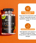 Karamd Lectin Guard | Lectin Blocker Gut & Colon Health Supplement | Slippery Elm, Bladderwrack, Sodium Alginate, Okra, Kiwi & Papaya | Natural Vegan Friendly, Non-Gmo & Gluten Free (30 Servings)