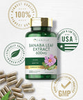 Carlyle Banaba Leaf Extract Capsules 600mg | 200 Count | Non-GMO Gluten