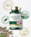 Carlyle Banaba Leaf Extract Capsules 600Mg | 200 Count | Non-Gmo, Gluten Free