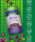 Nature's Truth Iron Gummies 60 Count Vegan NonGMO and Gluten Free Supplement with Zinc and B Vitamins Grape Flavor Vegan NonGMO and Gluten Free Supplement with Zinc and B Vitamins Grape Flavor