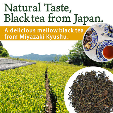Yamasan Kyoto Uji Japanese Organic Black Tea Loose Leaf 100% made in Japan 100g tea leaves YAMASAN