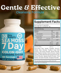 Atlantic Naturals Sea Moss 7-Day Colon & Gut Purification - Golden Flax Seeds Psyllium Husk Senna Powder For Women & Men - Pineapple Flavor Drink Mix (14 Oz)