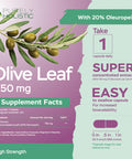 Purely Holistic Olive Leaf Extract 750Mg Non-Gmo Maximum Strength - 120 Vegan Capsules - 20% Oleuropein - 4 Month Supply - Support Supplement