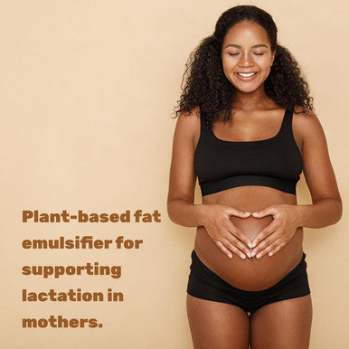 Deal Supplement Organic Sunflower Lecithin Powder 12oz Soy Plant Based Naturally Occurring Phosphatidyl Choline Lactation Supplement for Women Non-GMO
