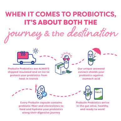 Probulin Womens Health Probiotic 20 Billion CFU 60 Capsules