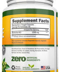 Berberine - 1200Mg - 90 Vegetarian Capsules - Pure Berberine Extract Supplement - Superior Potency to Support Immune Health