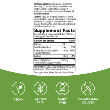 Nature'S Way Chlorofresh, Liquid Chlorophyll, Supports Healthy Skin & Body Detox*, Internal Deodorant*, Mint Flavored, 16 Fl. Oz (Packaging May Vary)
